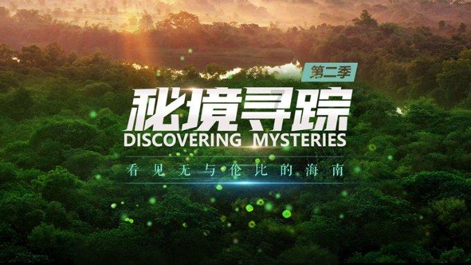 气血亏损！吃补气血的中药，怎么吃？是饭前还是饭后？游戏画面